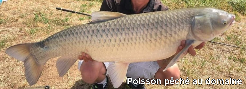 Poisson pêché au domaine de Francaltroff en Moselle