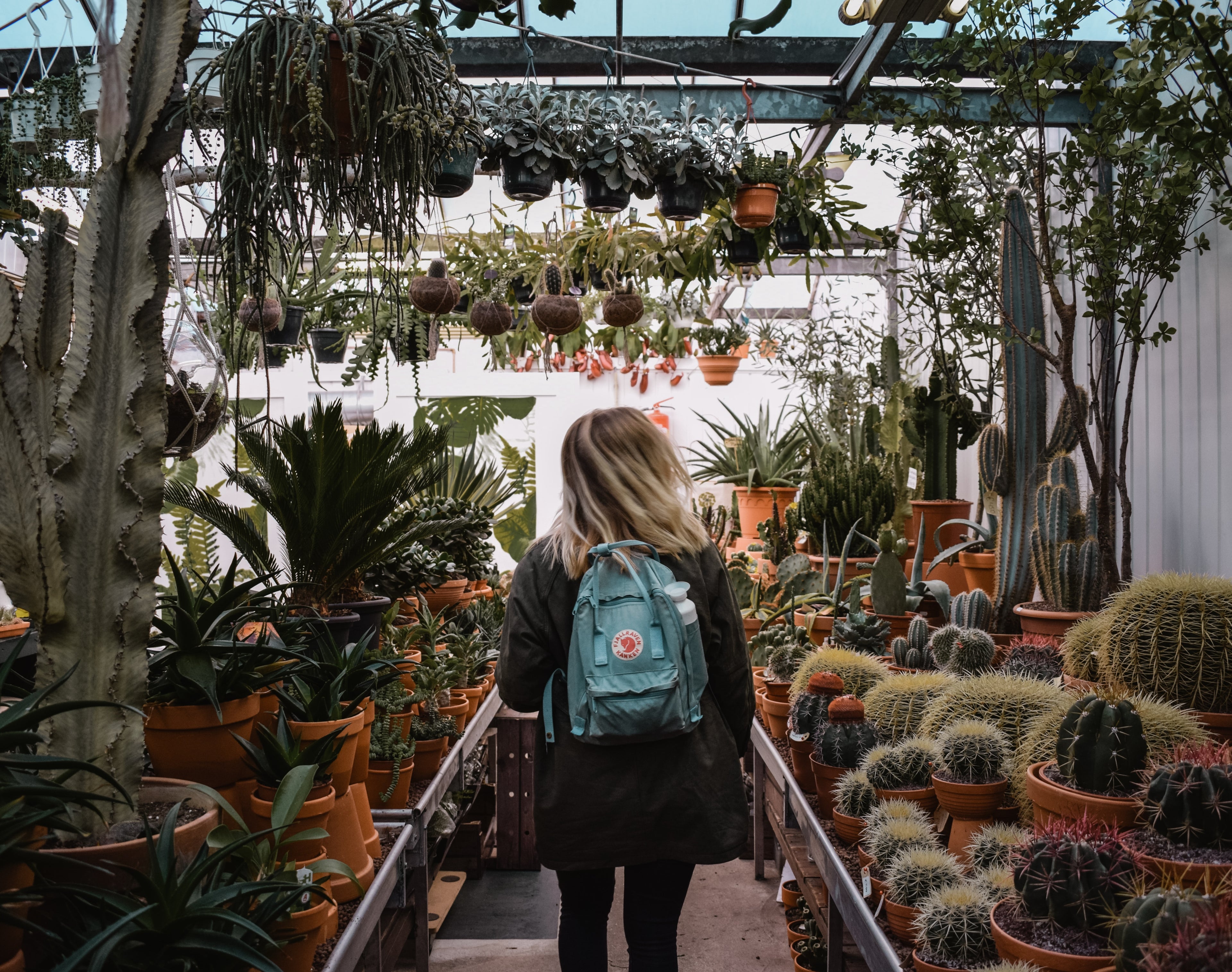 Représentation de notre magasin de plantes et de pêche